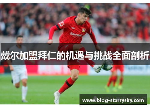 戴尔加盟拜仁的机遇与挑战全面剖析