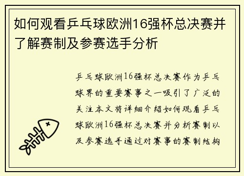 如何观看乒乓球欧洲16强杯总决赛并了解赛制及参赛选手分析