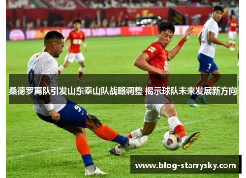 桑德罗离队引发山东泰山队战略调整 揭示球队未来发展新方向