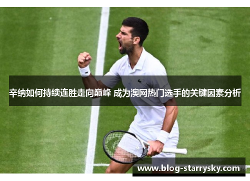 辛纳如何持续连胜走向巅峰 成为澳网热门选手的关键因素分析 辛纳如何持续连胜走向巅峰 成为澳网热门选手的关键因素分析